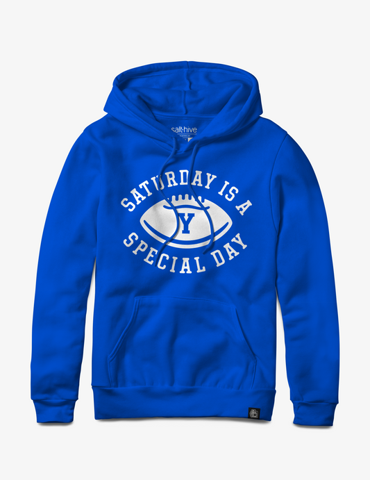 Saturday is a Special Day Hoodie